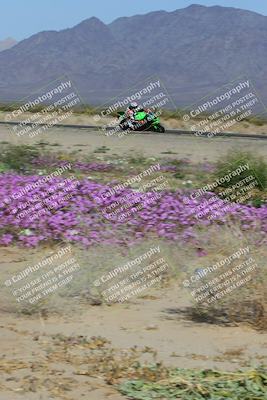 media/Feb-04-2023-SoCal Trackdays (Sat) [[8a776bf2c3]]/Turn 15 Inside Blooming (1050am)/